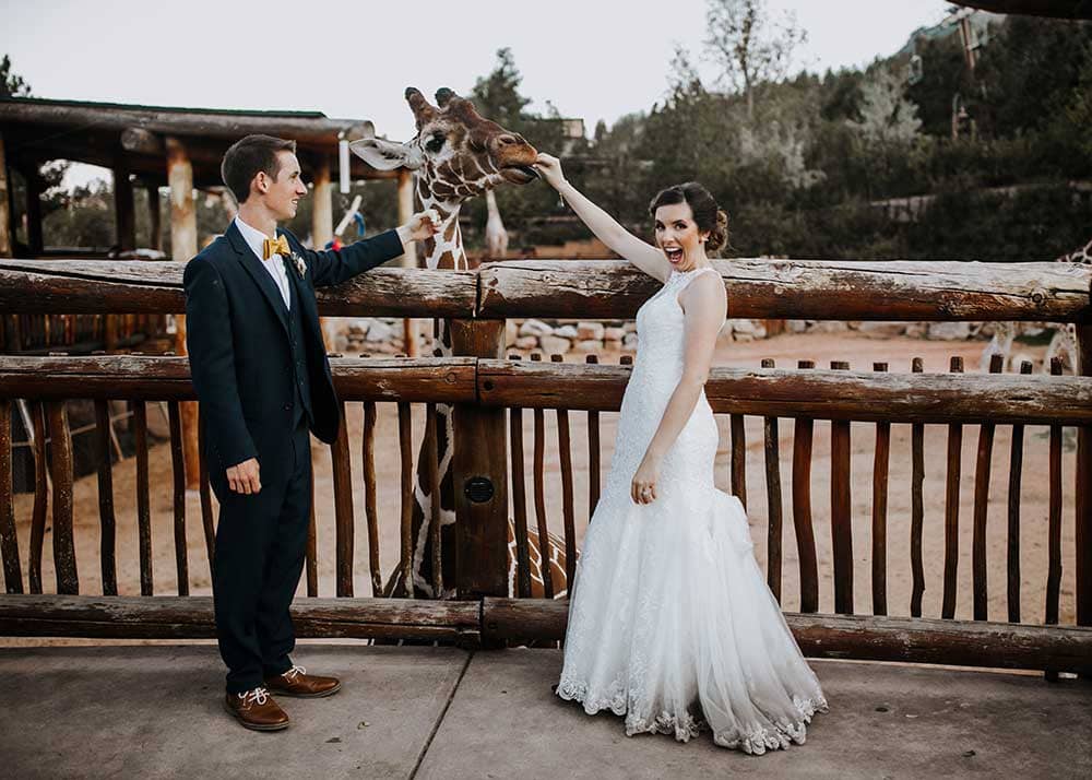 Cheyenne Mountain Zoo wedding photo with giraffe