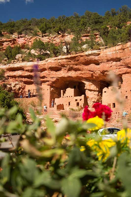 Manitou Cliff Dwellings flowers