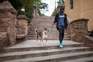 Walking Dog in Manitou Springs