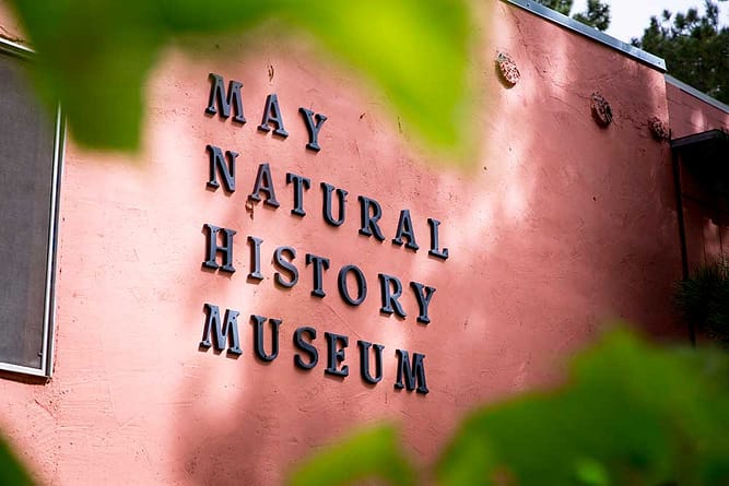 Wall-mounted May Natural History Museum sign.
