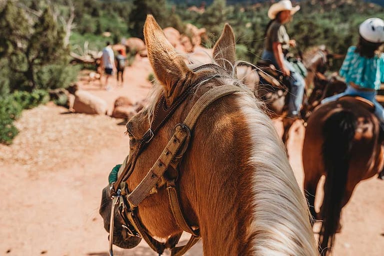 POV horseback riding in Garden of the Gods with Academy Riding Stables