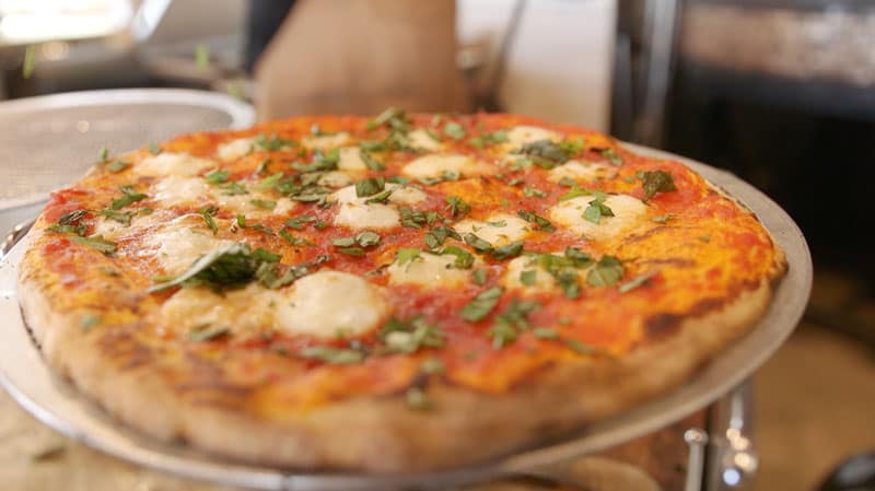 cheyenne mountain zoo pizza