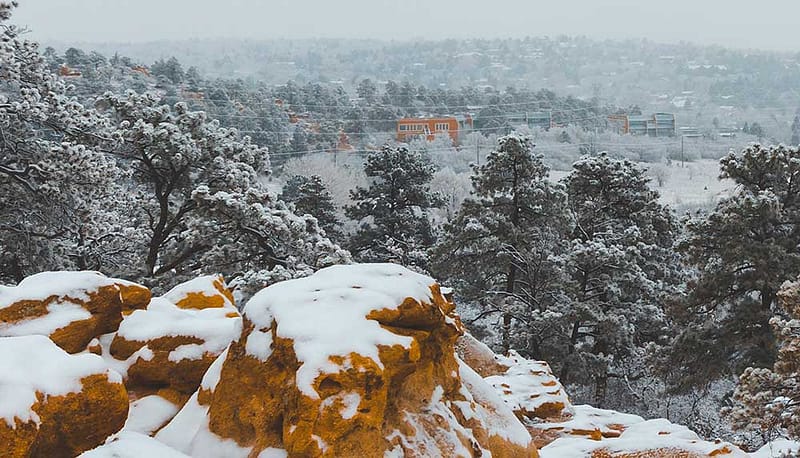 palmer park snow