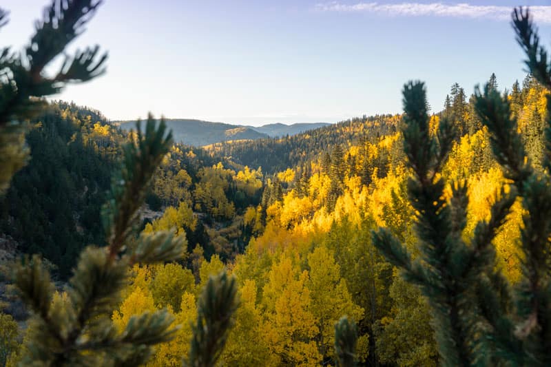 cripple creek fall leaves