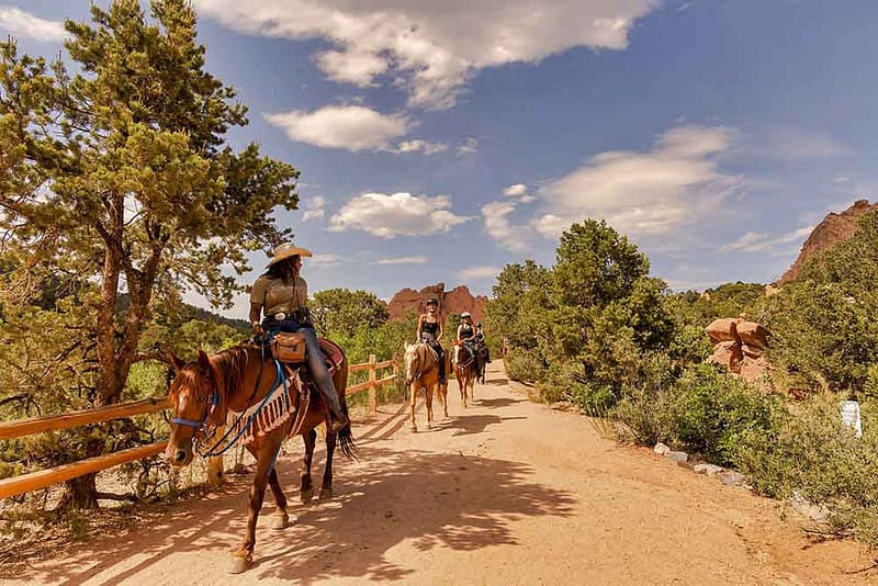 horses in garden of the gods