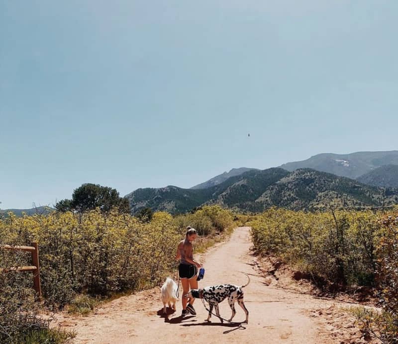 red rock open space dogs