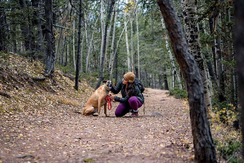 Woman and dog on hiking trail