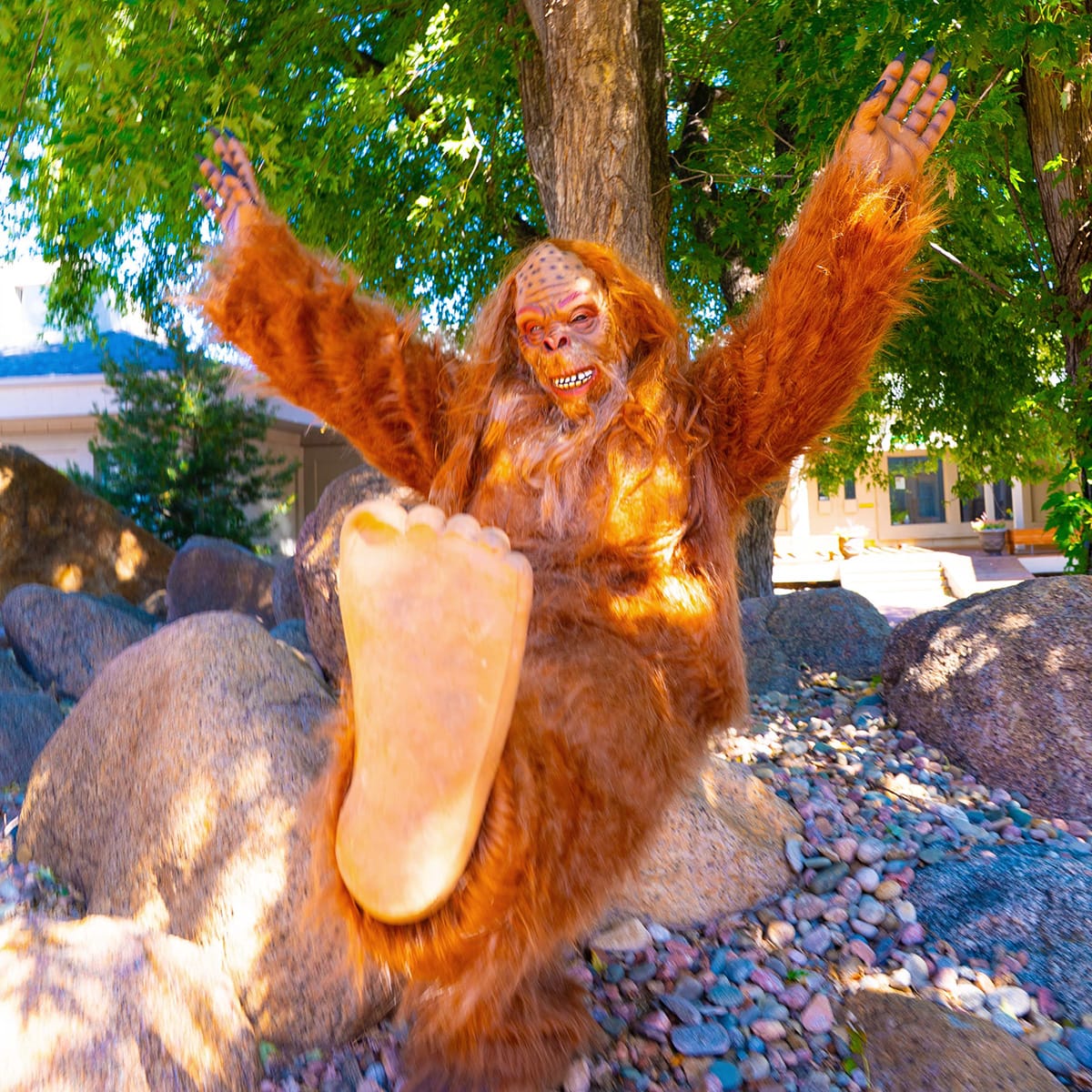 Bigfoot sitting on a rock with his hands on in the air.