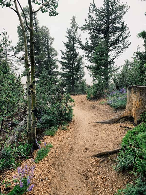 barr trail incline hike