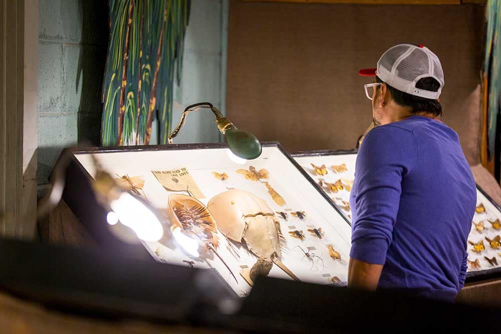 Person touring the May Natural History Museum