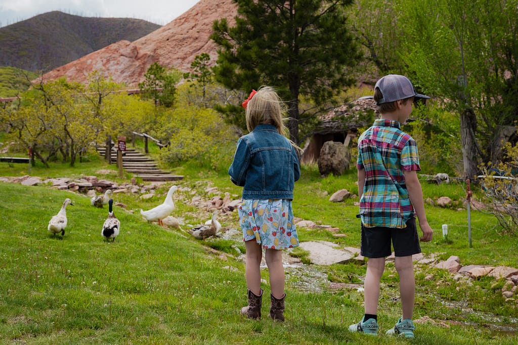 Children watch geese along a grassy path at Flying W Ranch.