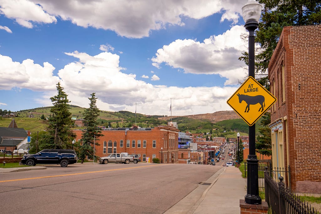 Donkey street sign in Cripple Creek