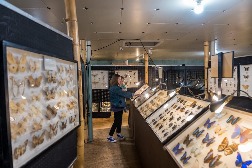 Mother and son exploring the May Natural History Museum