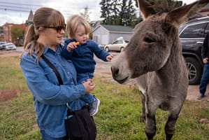 Mother and son feeding donkey in Cripple Creek