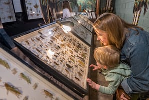 Mother and son looking at bugs at the May Natural History Museum