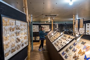 Mother and son exploring the May Natural History Museum