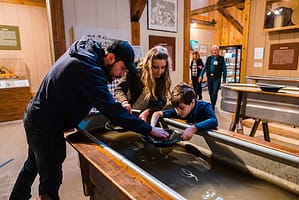 A family gold panning at Western Museum of Mining and Industry.