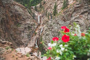 Seven Falls in the distance, with red wildflowers in the forefront.