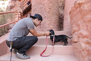 Dog at Manitou Cliff Dwellings