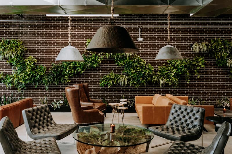 SCP Hotel garden wall