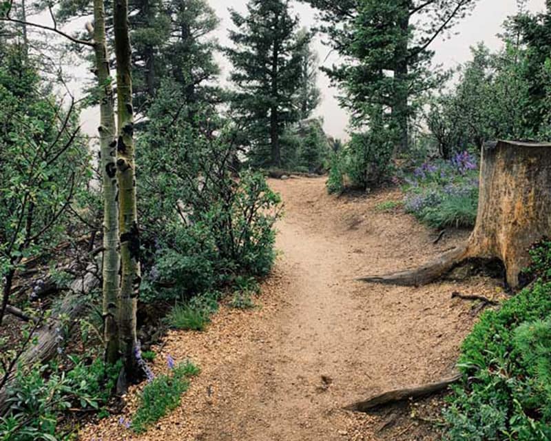 Photo of Barr trail coming down from the Manitou Incline.